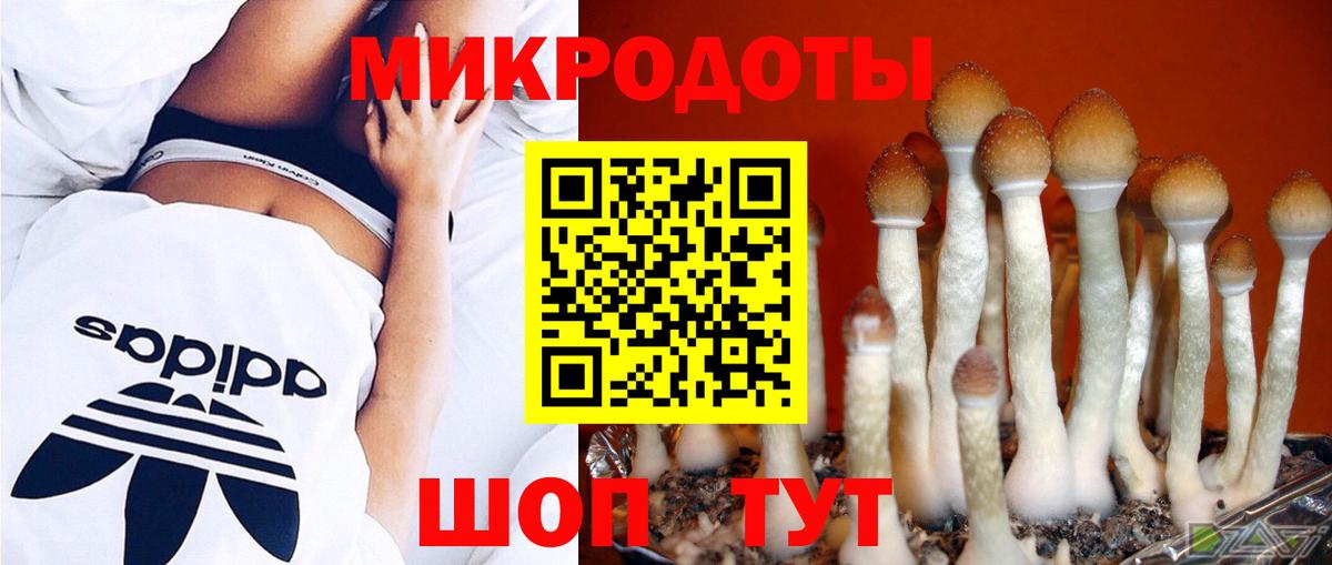 Нефтекумск  Галлюциногенные грибы Psilocybine cubensis  Псилоцибиновые грибы Psilocybe  закладки  Вход с VPN 