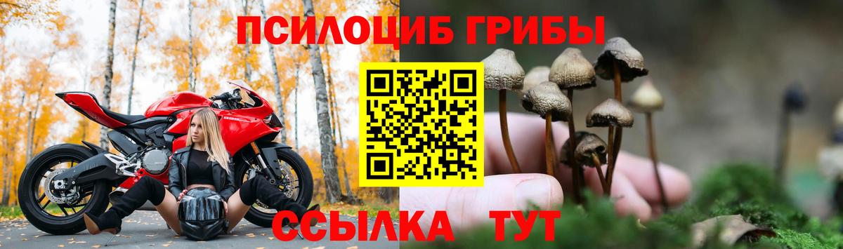 Галлюциногенные грибы прущие грибы Нефтекумск